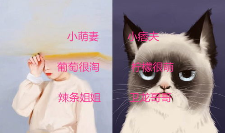 比较幽默的网名,幽默风趣，创意无限，打造个性昵称盛宴！”
