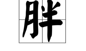十五天打一个字什么字,字里行间见真章